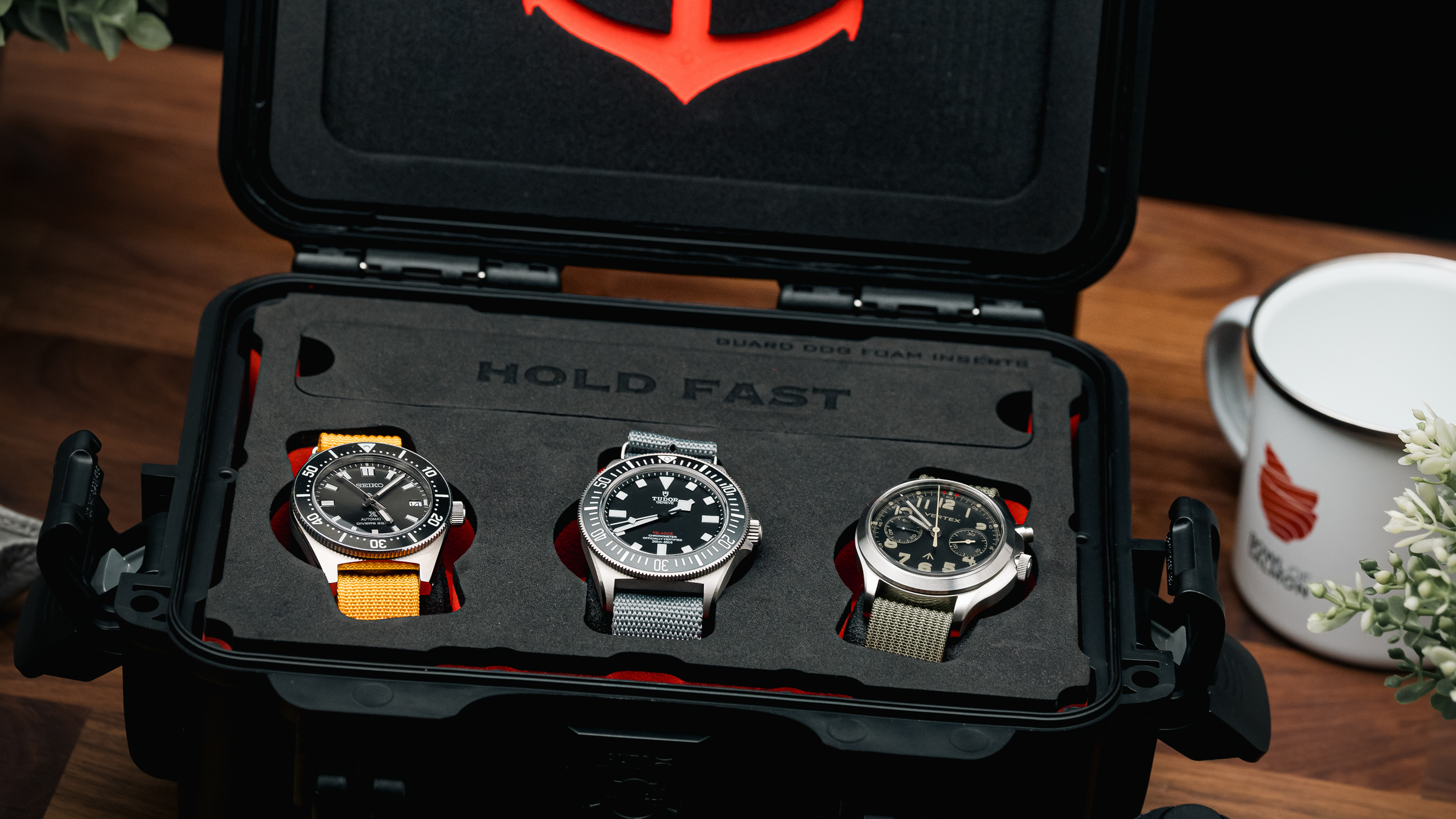 Protective Watch Cases